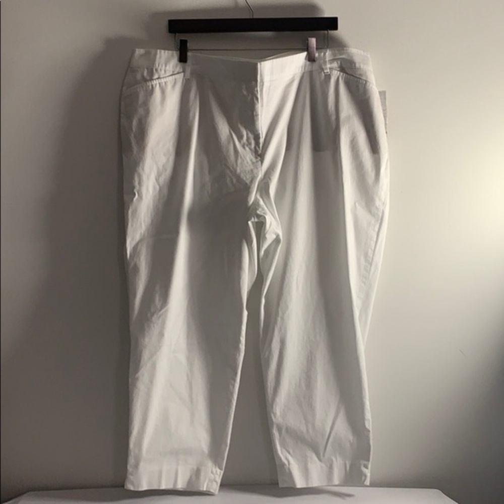 Talbot White Pants 22W